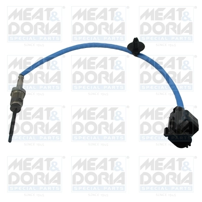 Sensor, exhaust gas temperature